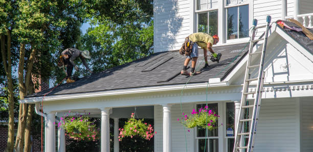 Best Roof Gutter Cleaning  in Blauvelt, NY